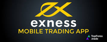 Discovering Opportunities in Trading Exness Egypt